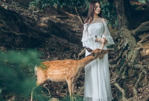 1721750527837828.png image.png