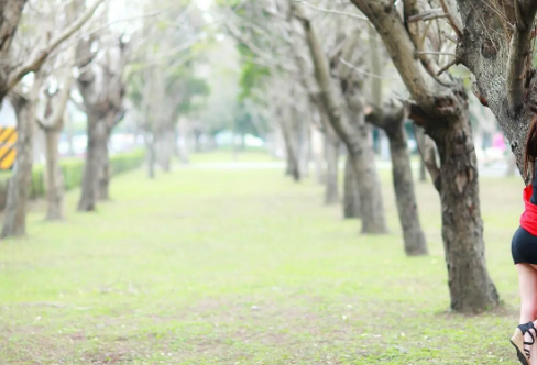 1721761859118049.png image.png