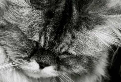 1721774350119327.png image.png