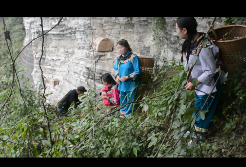 1721780680137977.png image.png