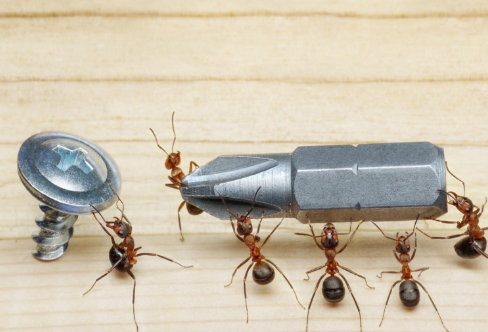 1721785844454157.png image.png