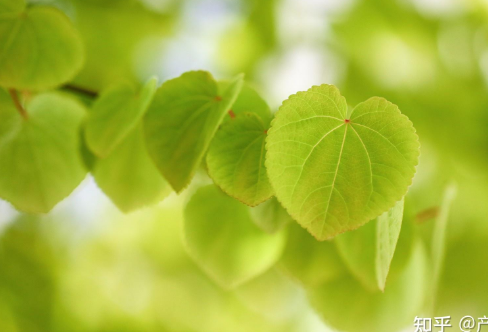 1721798579891790.png image.png