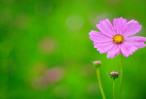 1721798746135515.png image.png