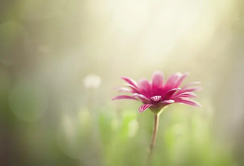 1721799579675340.png image.png