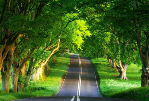 1721799913107605.png image.png