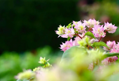 1721800580104889.png image.png