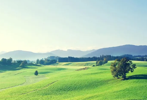 1721800747525848.png image.png