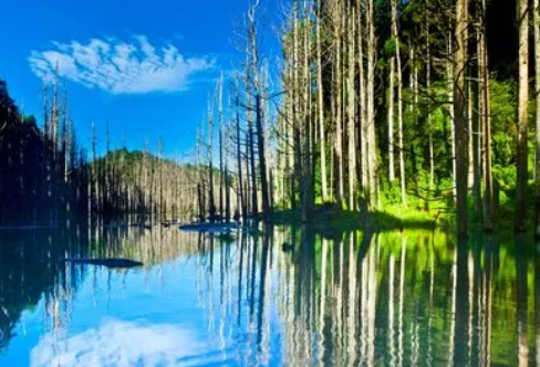 1721801080805554.png image.png