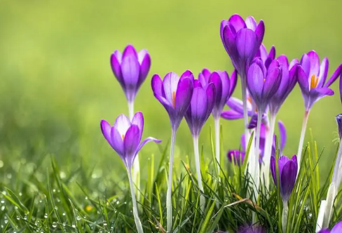 1721801247111839.png image.png