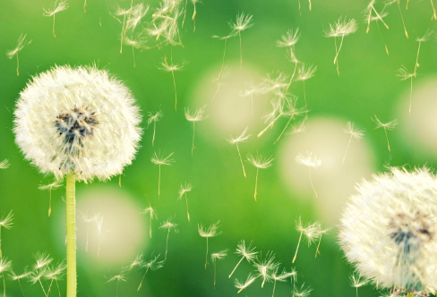 1721801747505752.png image.png