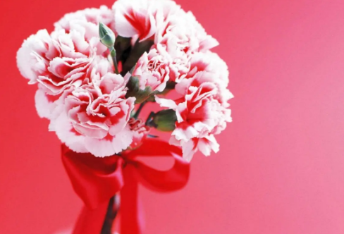 1721801913104287.png image.png