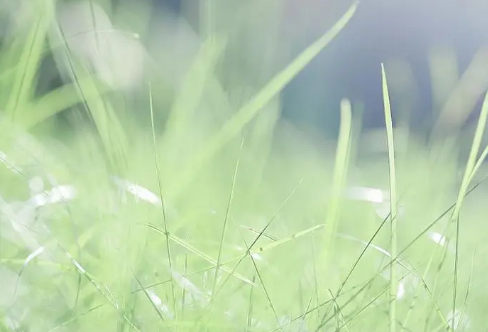 1721803414449940.png image.png