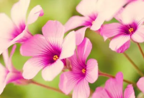 1721810919969721.png image.png