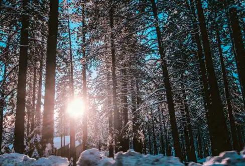 1721813586455706.png image.png