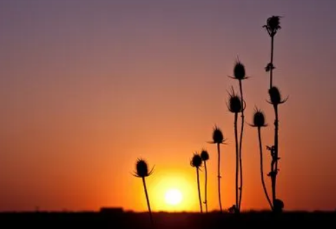 1721814586595861.png image.png