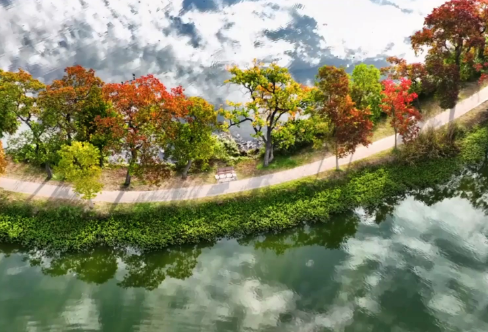 1721818753301523.png image.png