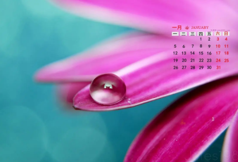 1721819587332119.png image.png