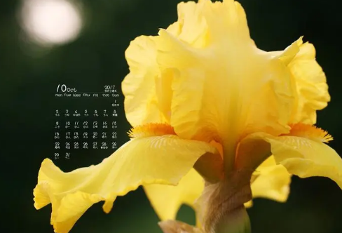 1721819753318865.png image.png