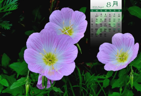 1721820920486474.png image.png