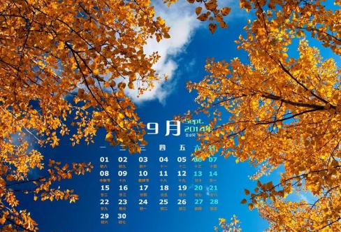 1721821421120661.png image.png