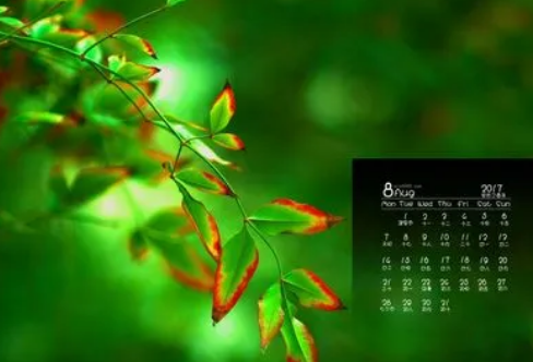 1721822087102437.png image.png