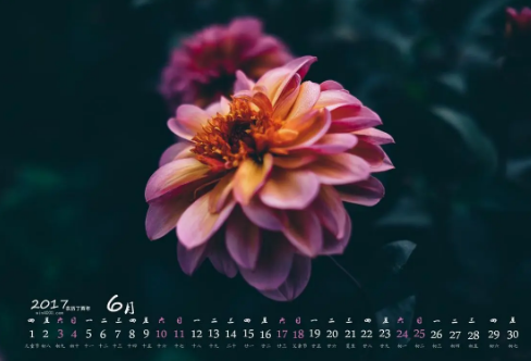 1721822587858570.png image.png