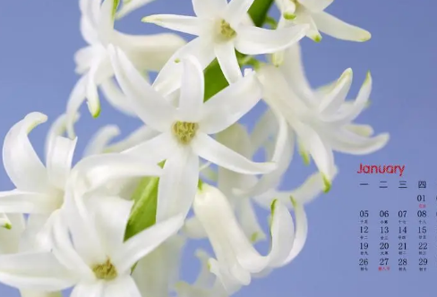 1721823420204487.png image.png