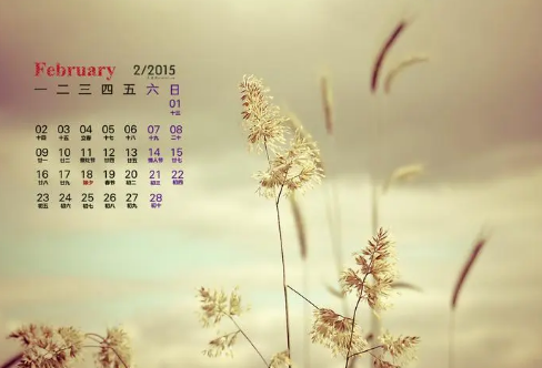 1721824254383327.png image.png