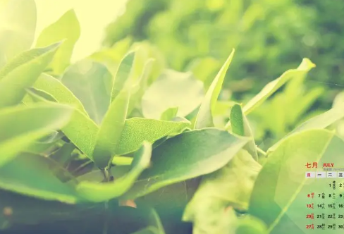 1721824920385564.png image.png