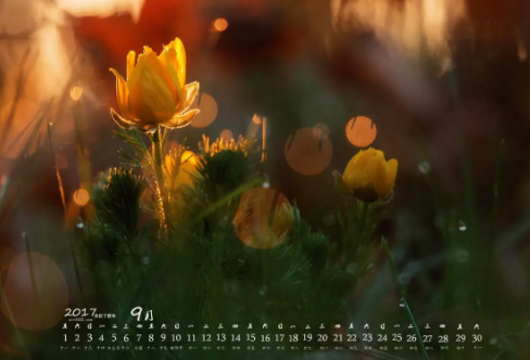 1721825087434707.png image.png