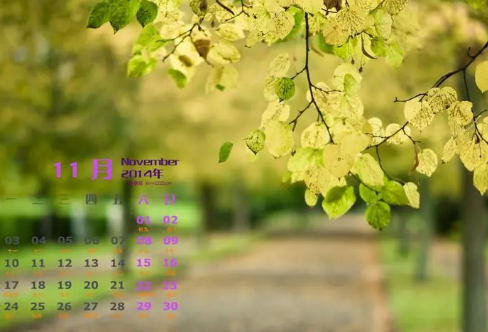 1721825254111353.png image.png