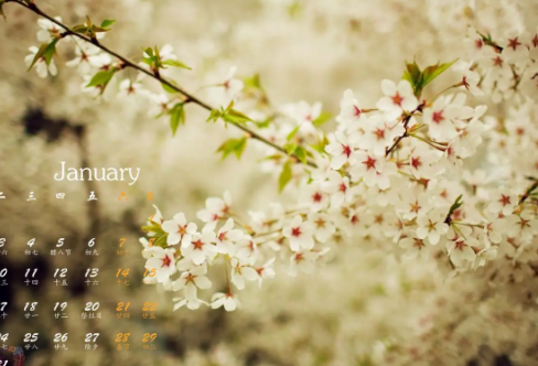 1721826588561134.png image.png