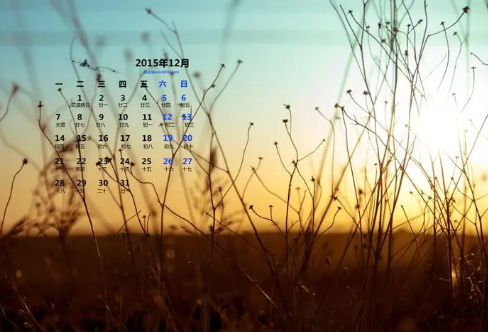 1721826921872770.png image.png