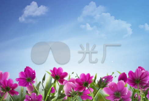 1721827254321017.png image.png