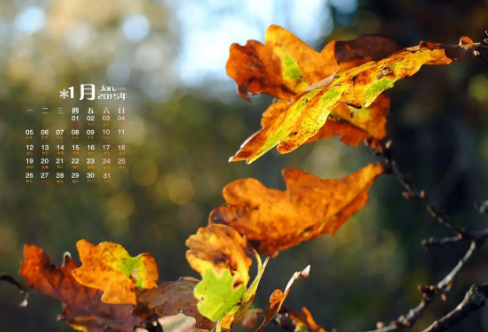 1721827588140993.png image.png