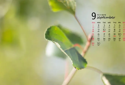 1721827921812870.png image.png