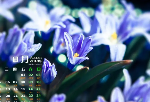 1721828088640743.png image.png