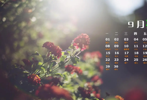 1721828421561995.png image.png