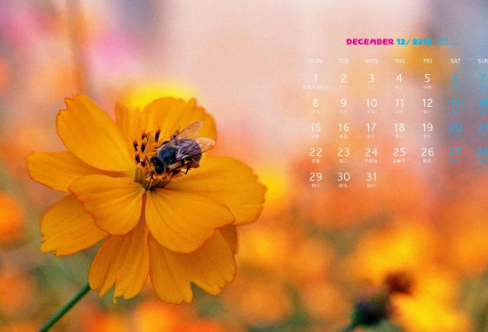 1721828588314390.png image.png