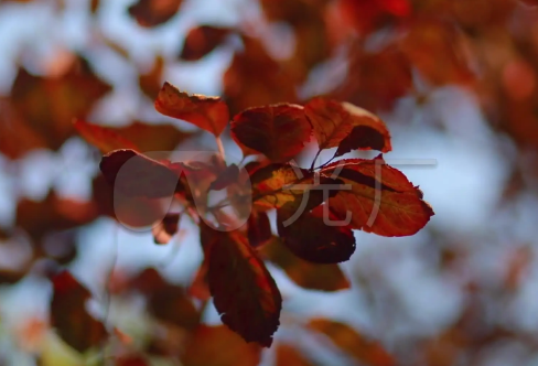 1721828921921740.png image.png