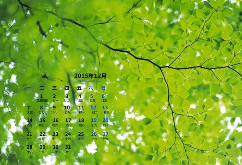 1721829087962276.png image.png