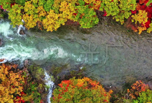 1721829421106331.png image.png