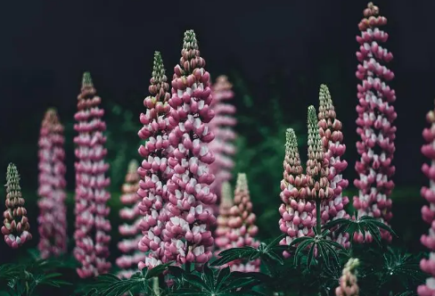 1721829754774959.png image.png