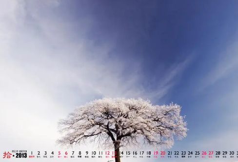 1721830421179786.png image.png