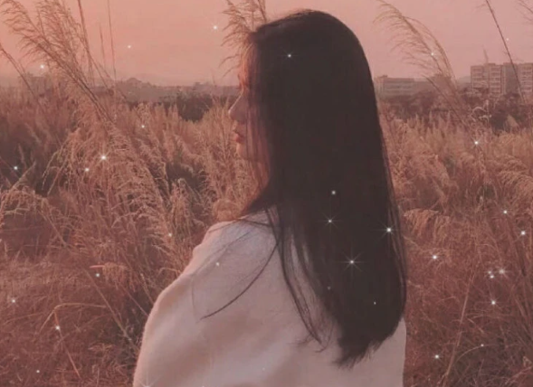 1721833239894845.png image.png